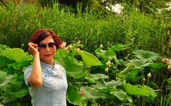 张萌澄视频百度网盘